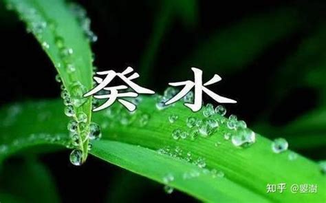 癸水 壬水|癸水命